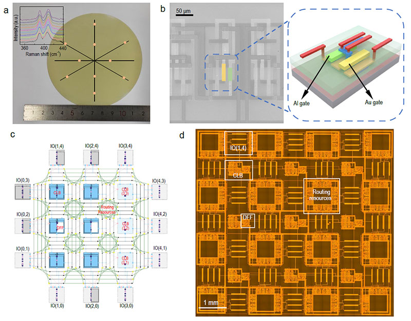 基于二维过渡金属硫化物的现场可编程门阵列（FPGA）.jpg